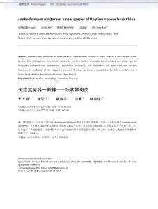 斑痣盘菌科一新种_坛状散斑壳_英文