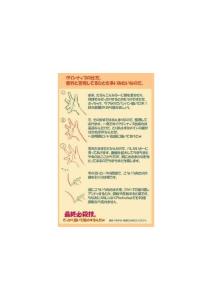 【基礎篇】手的結構理解與繪畫6