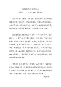 葡萄苗木的嫁接要点