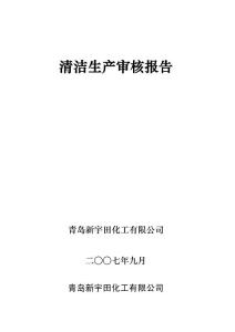 新宇田清潔生產審核報告
