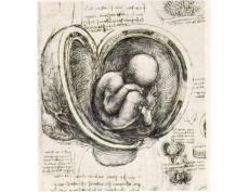 世界名畫【下】