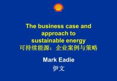 可持續能源：企業案例與策略