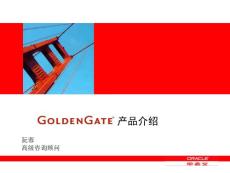 GoldenGate產(chǎn)品簡介2