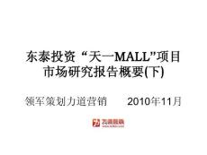 領(lǐng)軍策劃天一MALL策劃項(xiàng)目匯報(bào)(下)