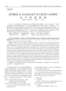 前列腺素 e1 在動(dòng)態(tài)負(fù)荷下對(duì)大鼠受壓馬尾神經(jīng) 電生理的影響