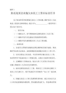 防范处置企业拖欠农民工工资目标责任书