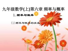 §6-1-1频率与概率(1)频率和概率的关系(liushuling )