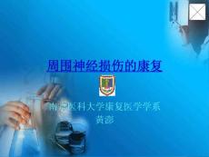 周围神经病损的康复 ppt课件