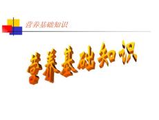 營養(yǎng)基礎(chǔ)知識前段