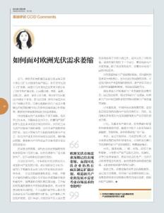 赛迪评论《中国经济和信息化》2010年第19期（62-63）