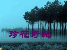 珍花奇葩.花卉攝影 (攝影入門 攝影教程 攝影技巧)