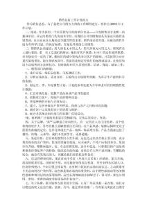 營銷總監工作計劃