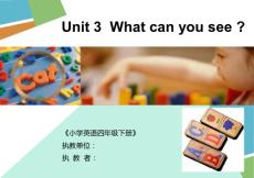 Unit 3 What can you see