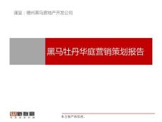 德州市黑馬牡丹華庭營銷策劃報告