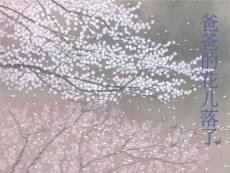 爸爸的花兒落了