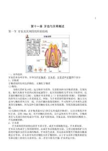 第十一章 牙齒與牙周概述