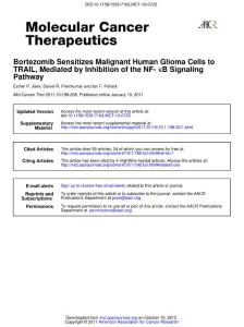 Bortezomib Sensitizes Malignant Human Glioma Cells to