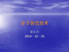 分子杂交技术