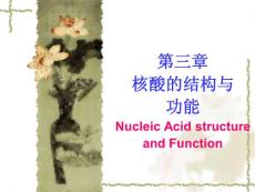 核酸的结构与功能-1上课用