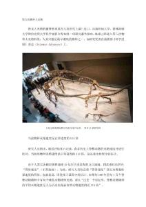 第六次物種大滅絕