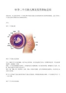 懷孕二個(gè)月胎兒圖及發(fā)育指標(biāo)總結(jié)