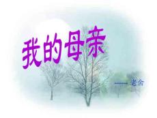 《我的母親》課件[優質文檔]