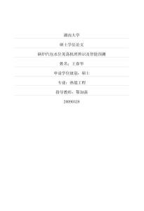 鍋爐汽包水位晃蕩機理辨識及智能預測