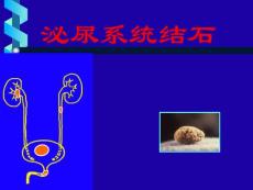 版肾结石诊疗指南（精）