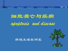 apoptosis7版