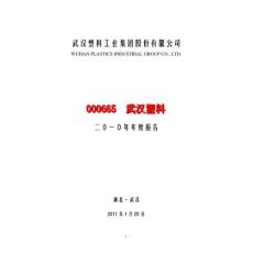 武漢塑料：2010年年度報告