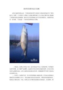 秋季钓鱼野钓技巧攻略