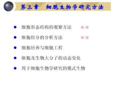 第03章  細(xì)胞生物學(xué)研究方法