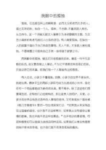 我眼中的孤独(语文作文)