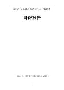 危險化學品從業單位安全生產標準化自評報告