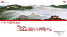 NCV63產(chǎn)品價(jià)值培訓(xùn)-NC6大型企業(yè)管理與電子商務(wù)平臺(tái)