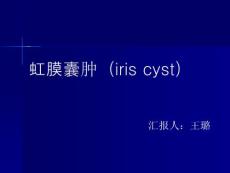 虹膜囊肿(iris cyst)