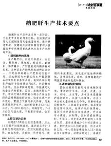 鵝肥肝生產技術要點