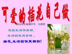 可愛的插花自己做ppt課件