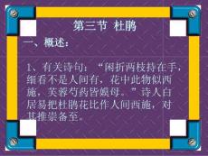 杜鵑課件