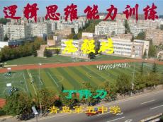 邏輯思維能力訓(xùn)練