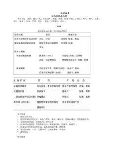 4.腹部检查