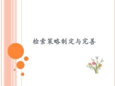 检索策略制定与完善