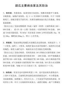 甜瓜主要病蟲害及其防治