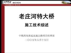 某特大橋施工技術(shù)綜述匯報材料PPT