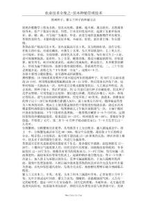 鐵樹種子、紫玉蘭種子的種植方法