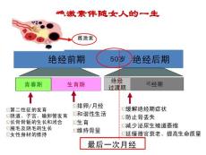 异常子宫出血