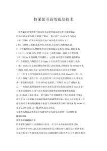 特采紫苏高效栽培技术