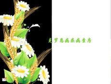克罗恩病疾病查房