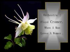 佳言共享-flowers, says and music learn to live dream