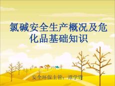 氯堿安全生產概況